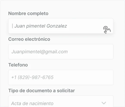 Ejemplo del formulario de solicitud